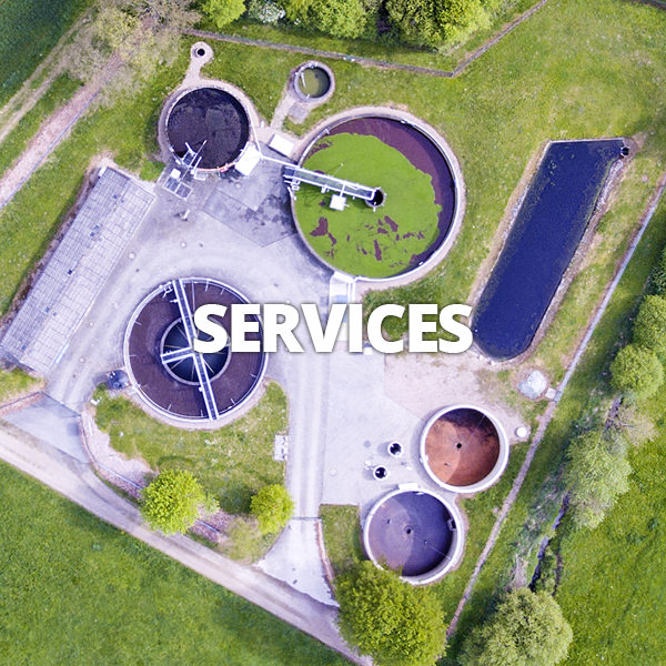 Services